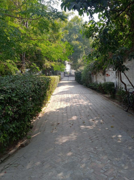 PN000261 photo 2